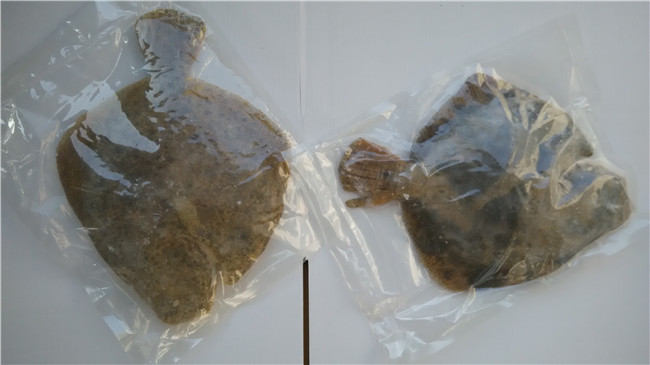 ��������~(y��)